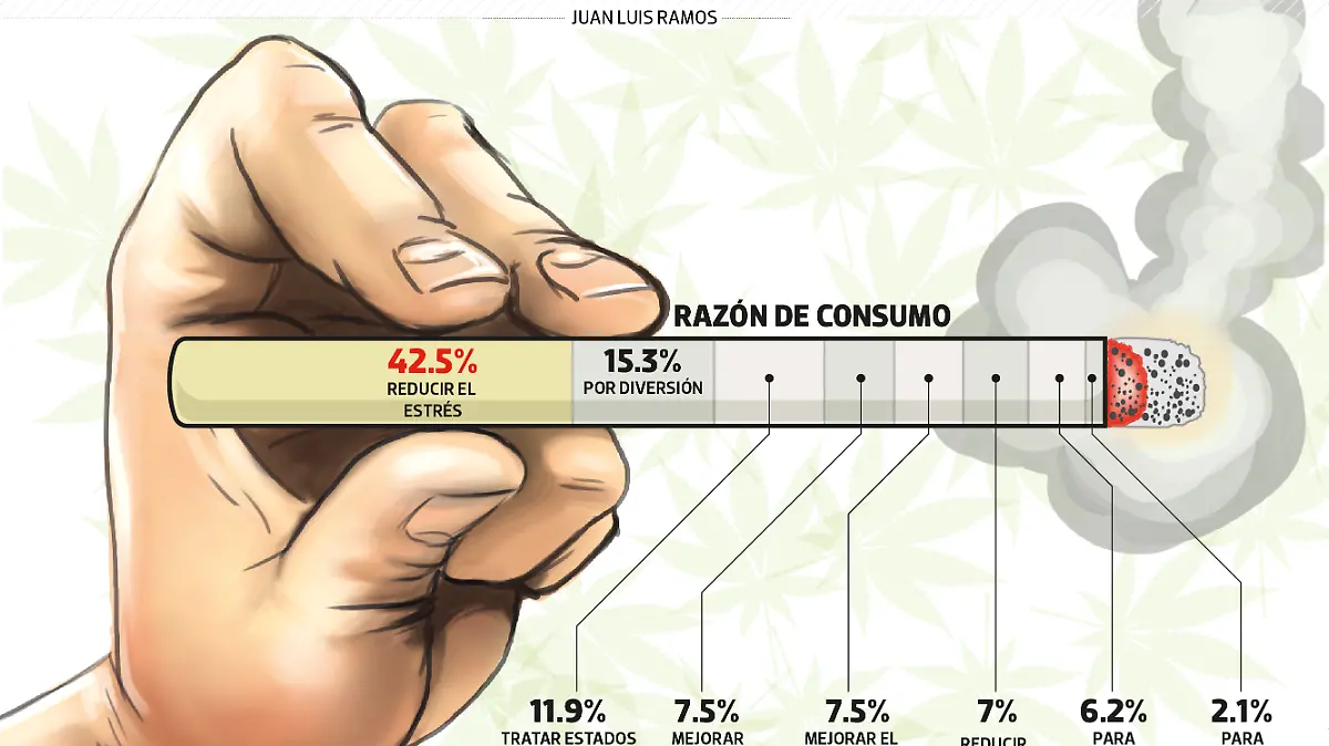 21NOV24 MARIHUANA JUEVES WEB